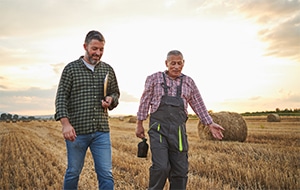 300x190_marcheTerres prix-des-terres-agricultures-transmission-conseillier-Safer